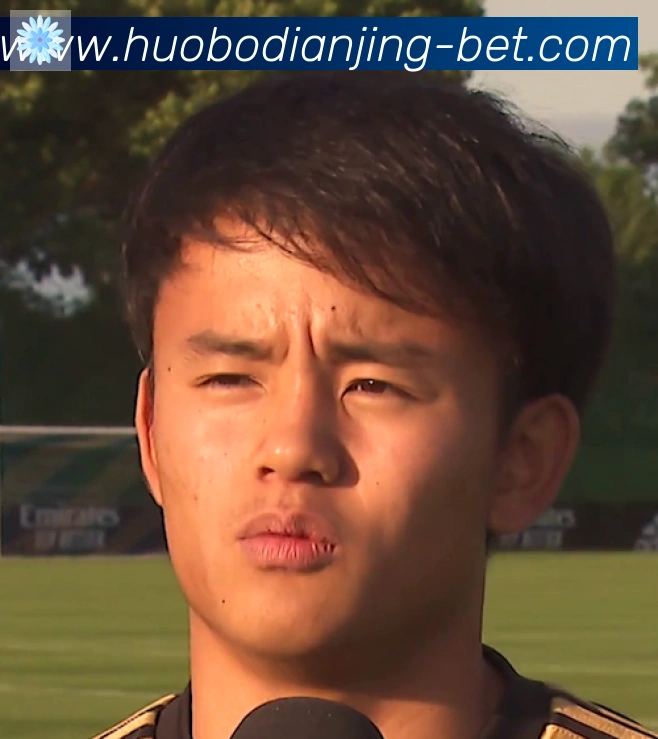 维尼修斯